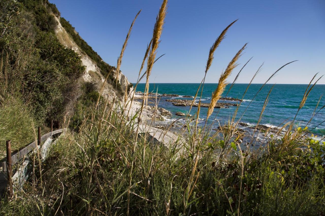 Brezza Del Conero Daire Ancona Dış mekan fotoğraf