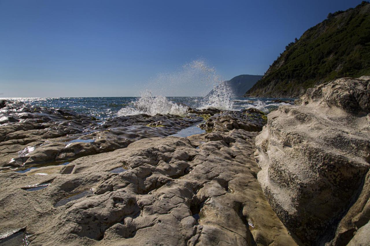 Brezza Del Conero Daire Ancona Dış mekan fotoğraf