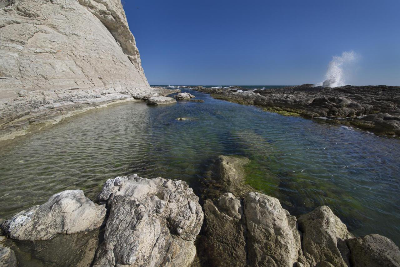 Brezza Del Conero Daire Ancona Dış mekan fotoğraf