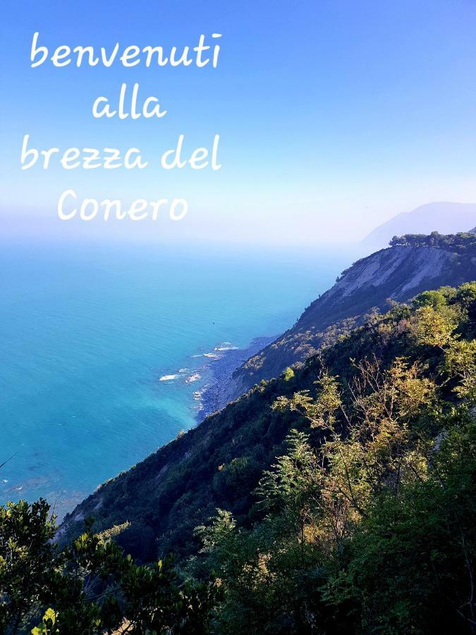 Brezza Del Conero Daire Ancona Dış mekan fotoğraf